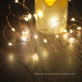 Warm White Mini LED Copper Wire String Light